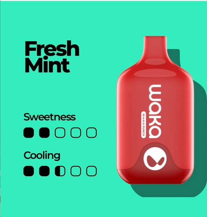 Waka Waka Smash 6000 Puffs Disposable Vape Fresh Mint