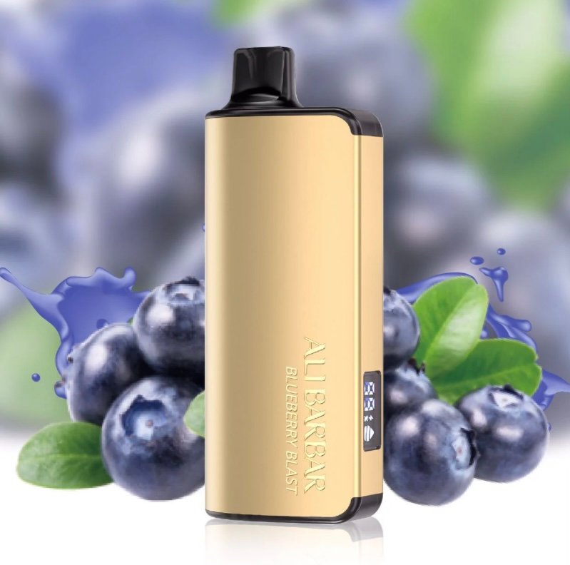 ALIBARBAR ALIBARBAR INGOT BLUEBERRY BLAST 9000 PUFFS