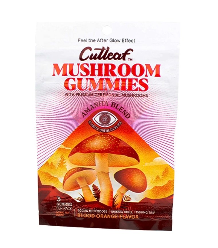 Magic Mushrooms Blood Orange Cutleaf Mushroom Gummies Amanita Blend 500mg