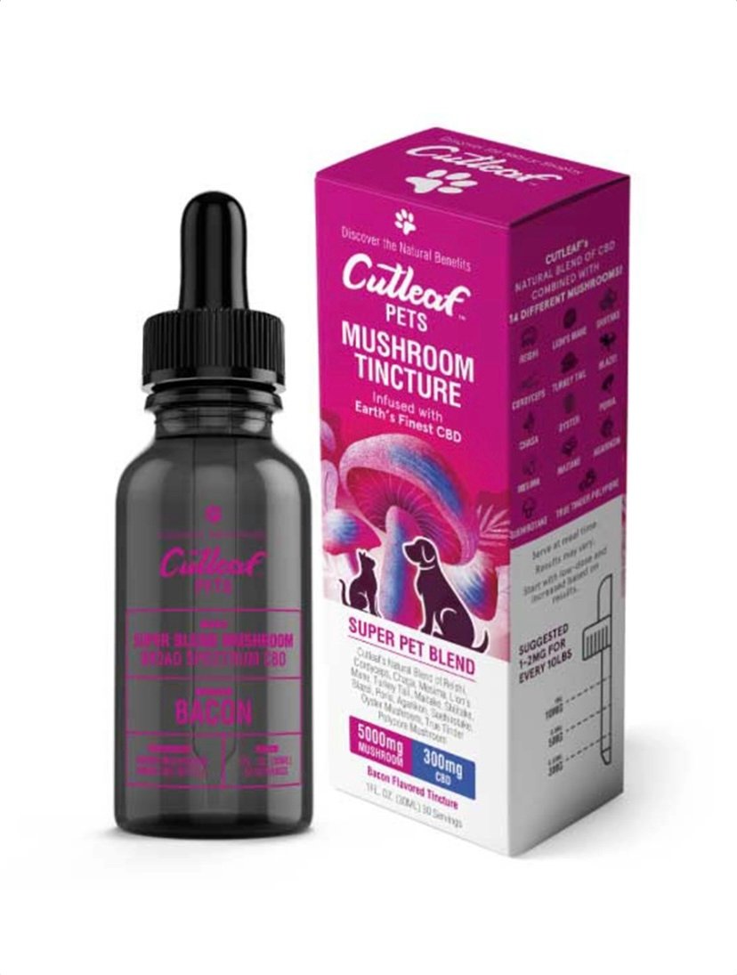 CBD Bacon Cutleaf Pet Mushroom CBD Tinctures