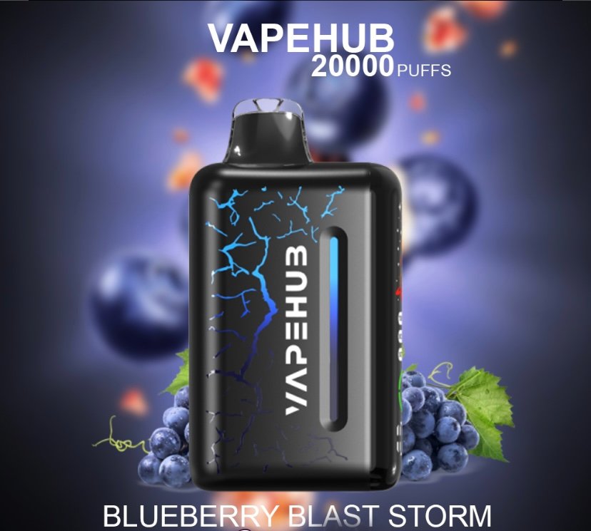 VAPEHUB VAPEHUB BLUEBERRY BLAST STORM – 20000 PUFFS