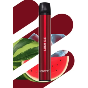 IGET KIWI PINEAPPLE ICE – IGET BAR – 3500 PUFFS